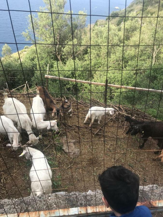 La Finestra Sul Fiordo Apartamento Furore Exterior foto